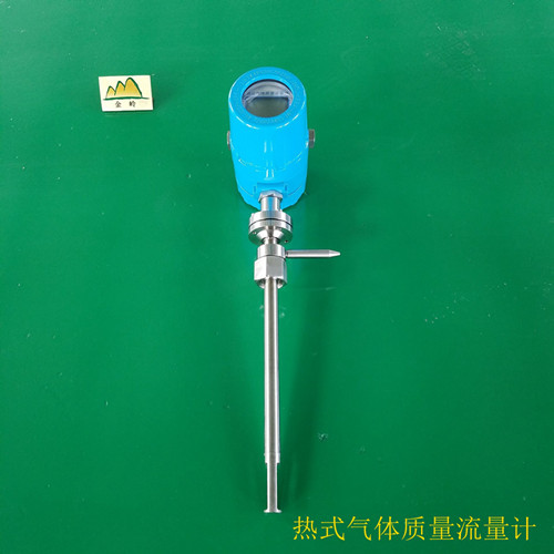 熱式氣體質量流量計